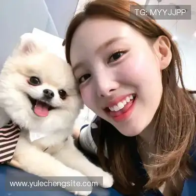 史怀玄
